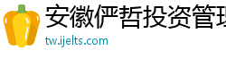 安徽俨哲投资管理有限公司